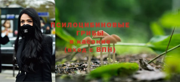 герыч Касимов
