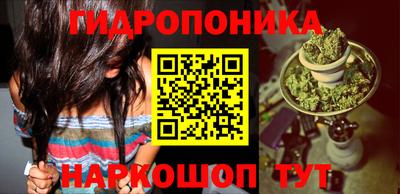 гашишное масло Берёзовский