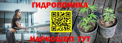 мдпв Беслан