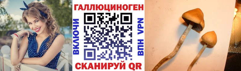 Галлюциногенные грибы MAGIC MUSHROOMS  Клинцы 