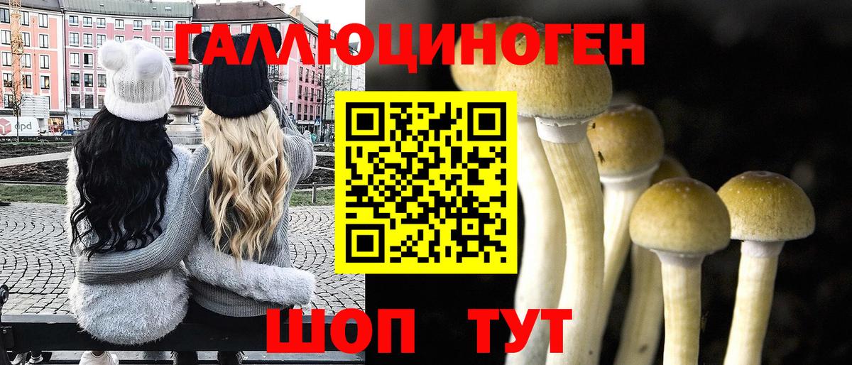 Клинцы  Псилоцибиновые грибы Psilocybine cubensis  Вход с VPN 