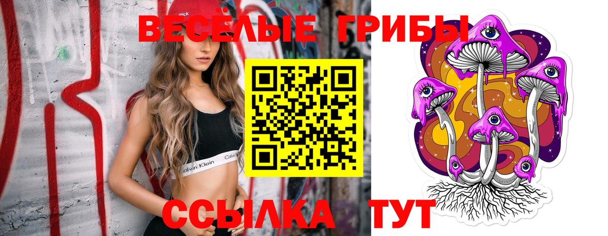 Галлюциногенные грибы ЛСД Клинцы