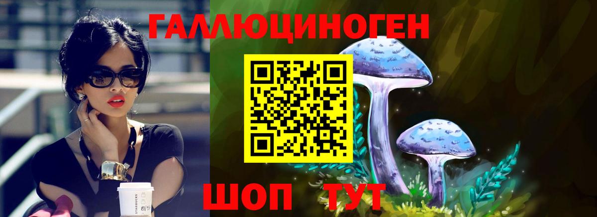 Псилоцибиновые грибы Magic Shrooms Клинцы