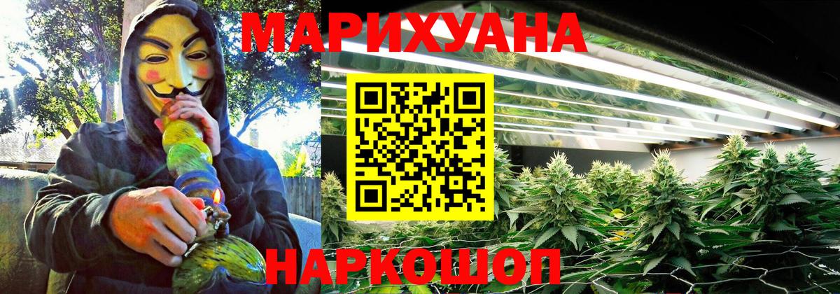 Марихуана сатива  Марихуана гибрид  Бошки Шишки Bruce Banner  Вход с VPN  Клинцы 